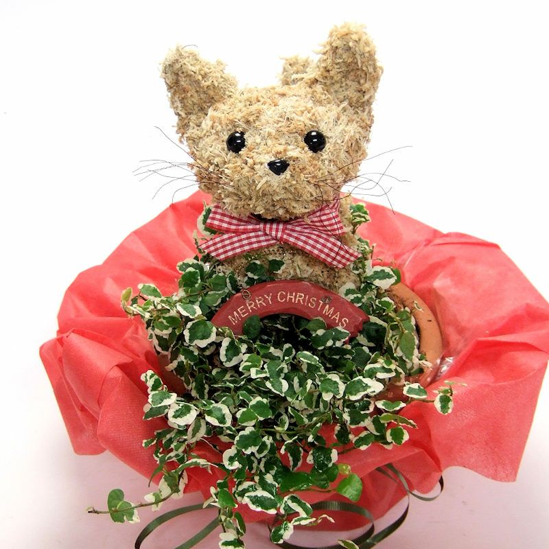 クリスマス　猫好き