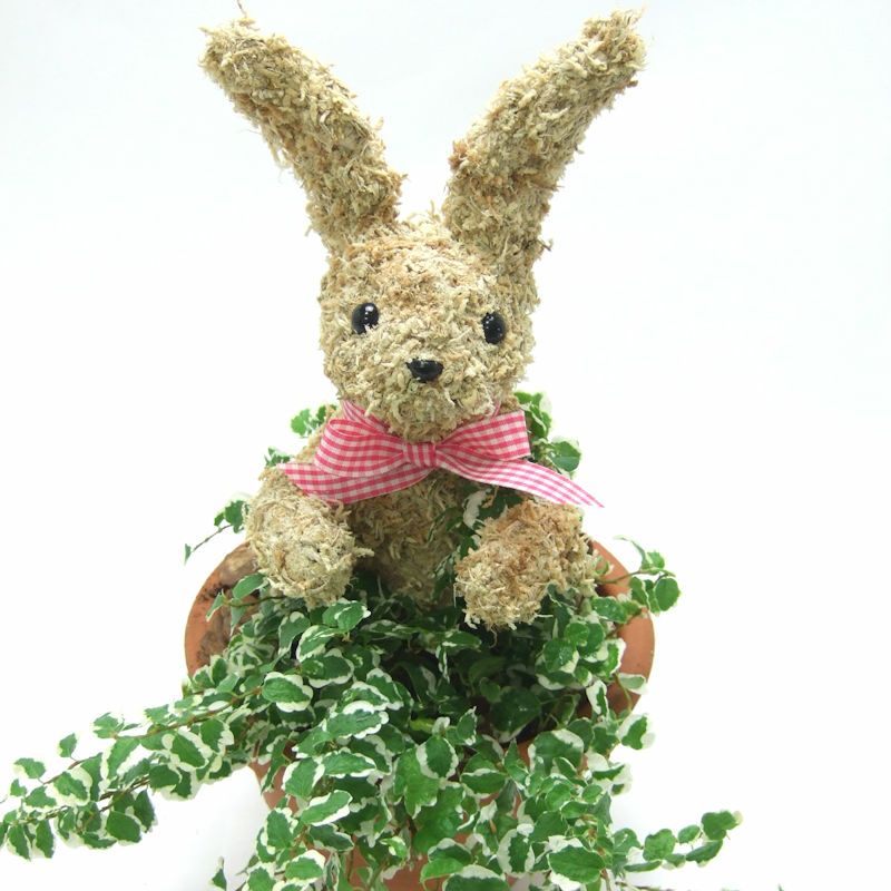 ウサギのアニマルフラワーギフト-アトリエ花倶楽部