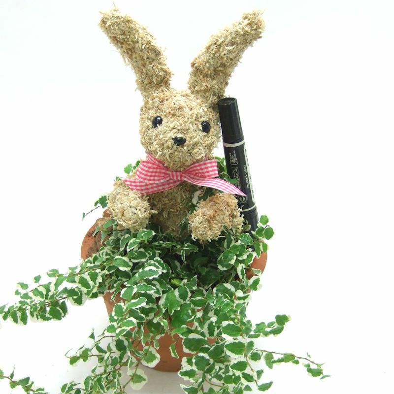 ウサギ　トピアリー