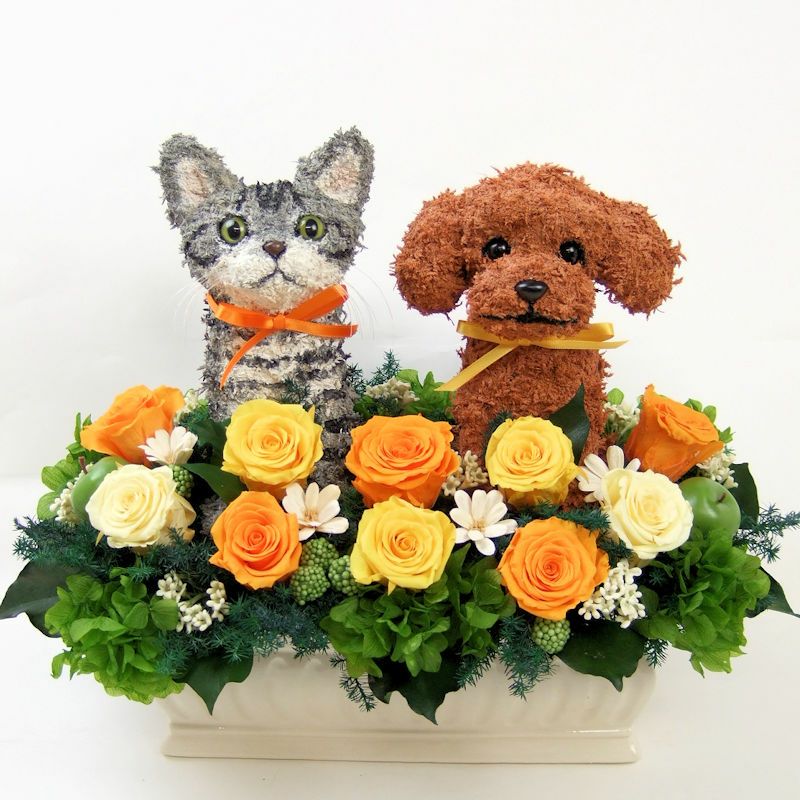 応物病院開院祝い 花