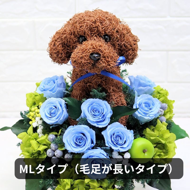 トイプードル 花