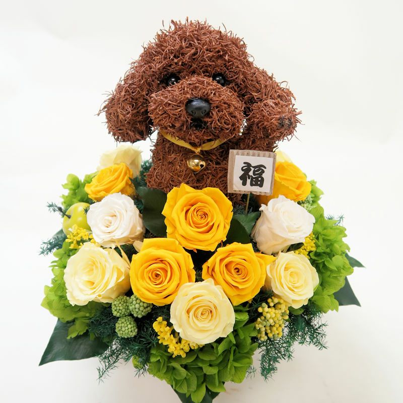 ペットサロン開店祝いにお店の開店祝いにトイプードルの招き犬