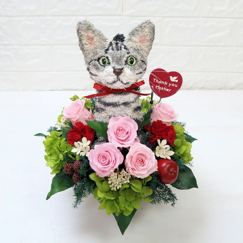 猫好きの母の日プレゼントに猫花-アメリカンショートヘアグッズ