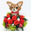 母の日ギフト　犬花