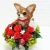 チワワのプリザーブドフラワーアレンジ