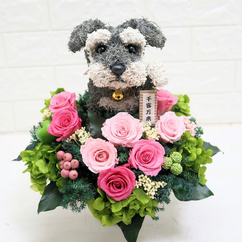ペットサロン開店祝いにシュナウザーの招き犬プリザーブドフラワー