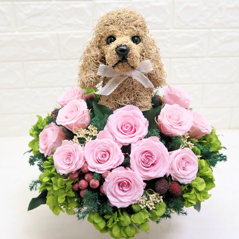 アメリカンコッカースパニエルのプリザーブドフラワーアレンジBeauty