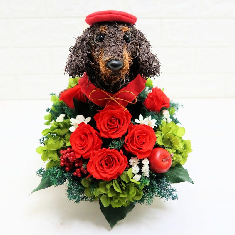 還暦祝いダックス好きの人へ喜ばれる犬花プレゼント｜アトリエ花倶楽部