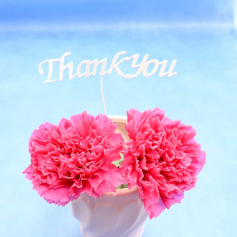 母の日ギフトオプション　カーネーション