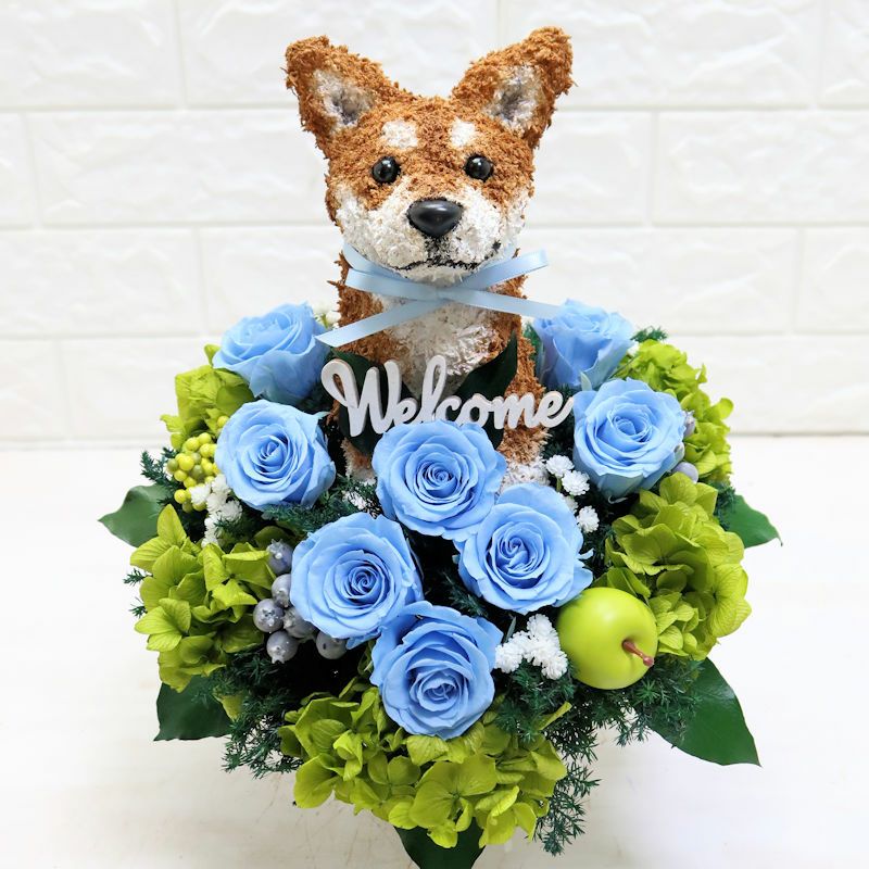 ペットサロン開店祝いに柴犬のトピアリープリザーブドフラワーアレンジ
