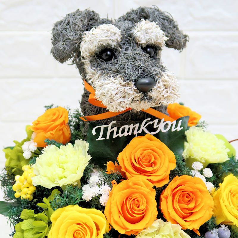 シュナウザーグッズ　プレゼント