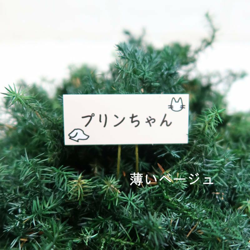ペットのお悔やみ、一周忌のお供えにペットの名札