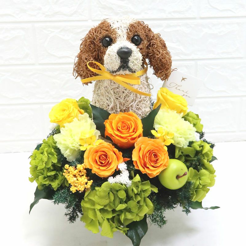 母の日犬　キャバリア