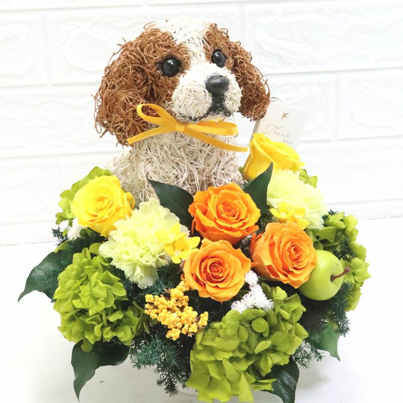 母の日プレゼント　犬好き