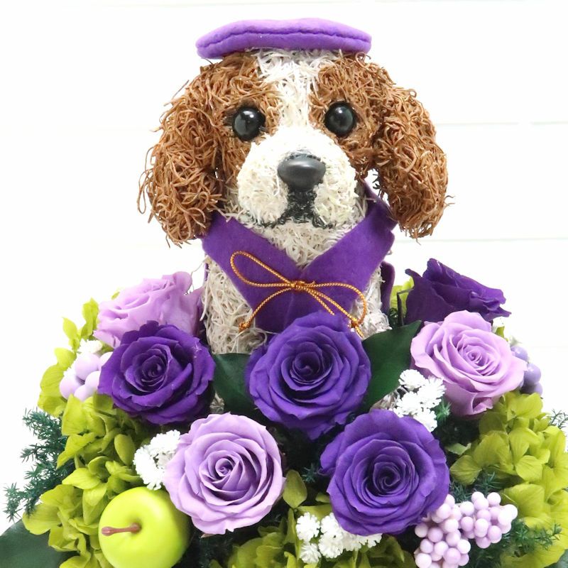 キャバリアグッズ　プレゼント