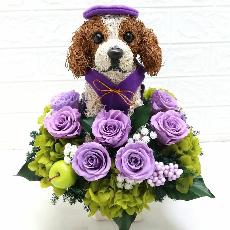 古希祝い　キャバリア