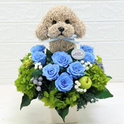 トイプードル誕生日プレゼント