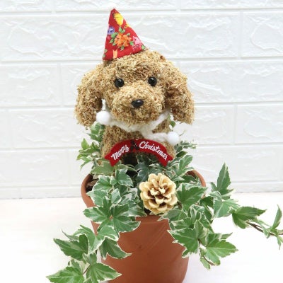 クリスマスプレゼント　犬