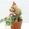 トピアリー犬　クリスマス
