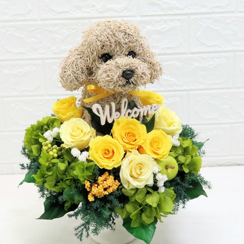 フラワードッグ トイプードル