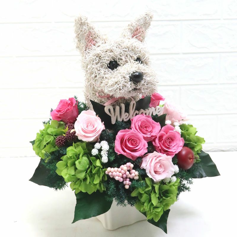 ウエストハイランドホワイトテリア