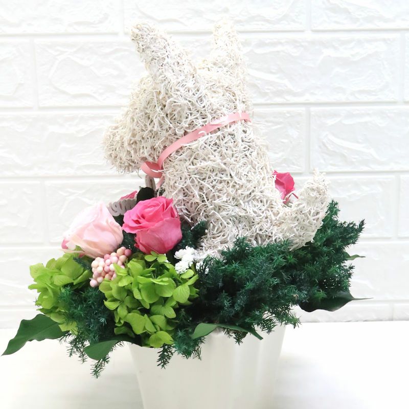 アニマルフラワー犬