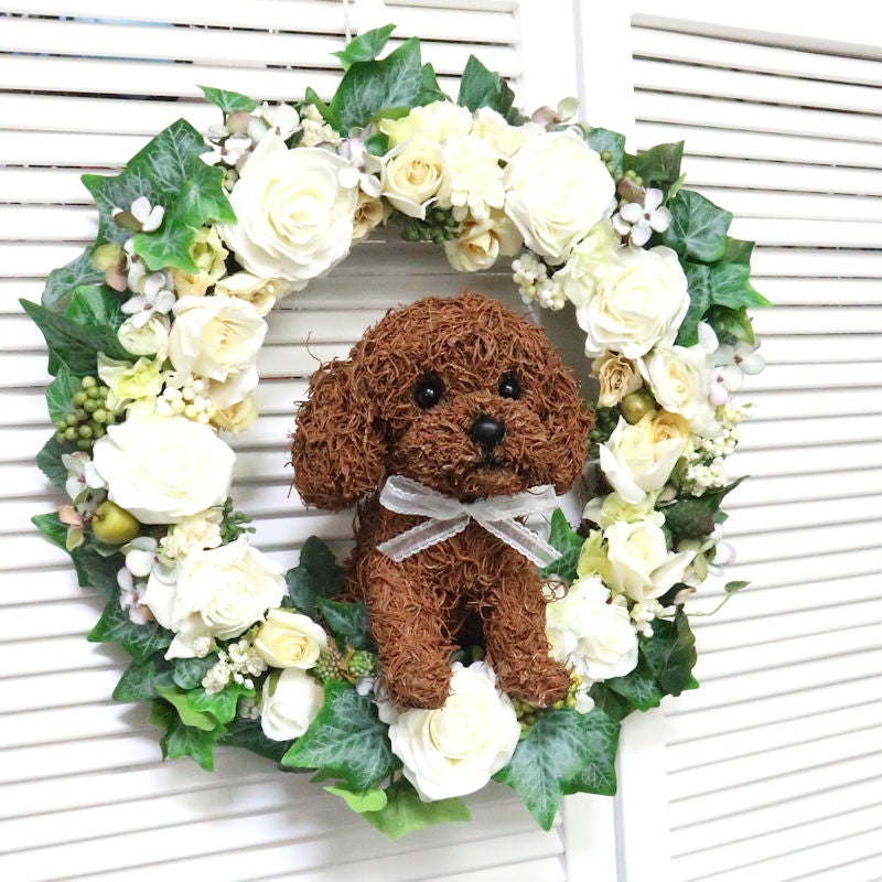 トイプードル リース