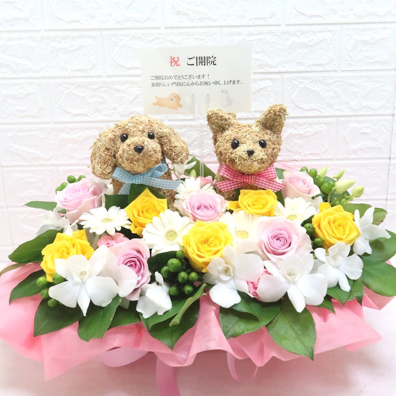 動物病院開院祝い 花