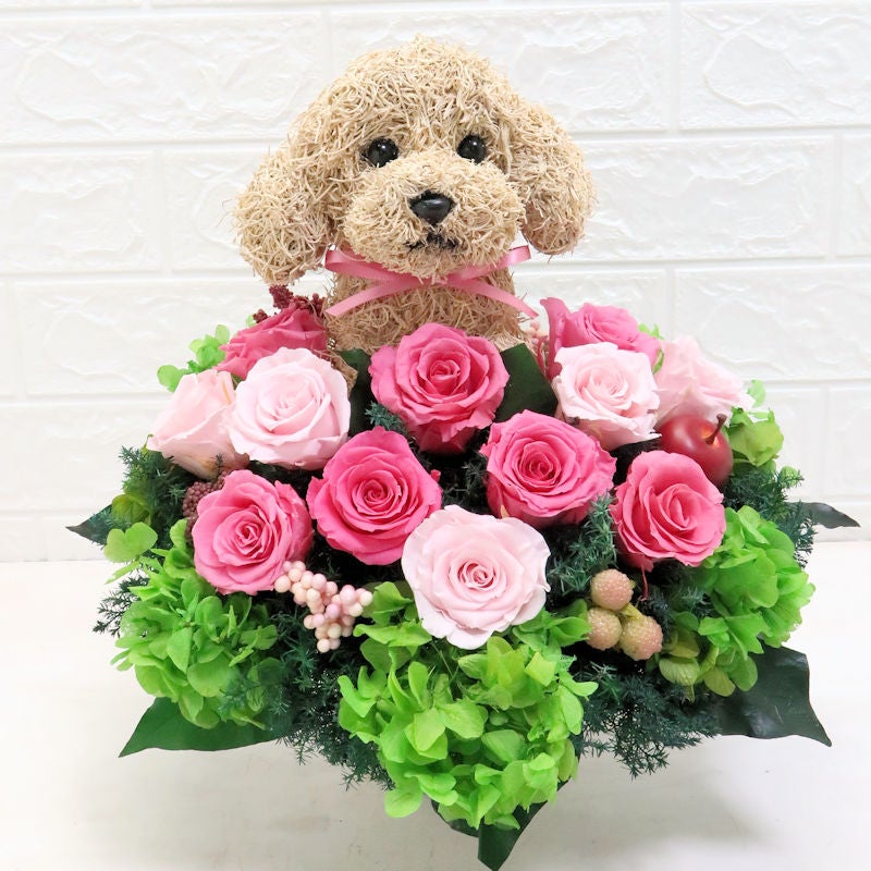 トイプードル 花