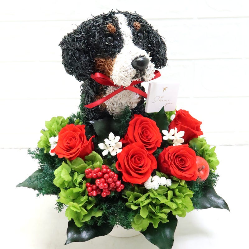 母の日プレゼント 犬グッズ