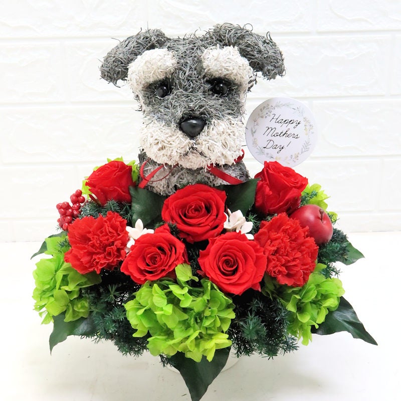 母の日 シュナウザー