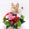 母の日 猫 花