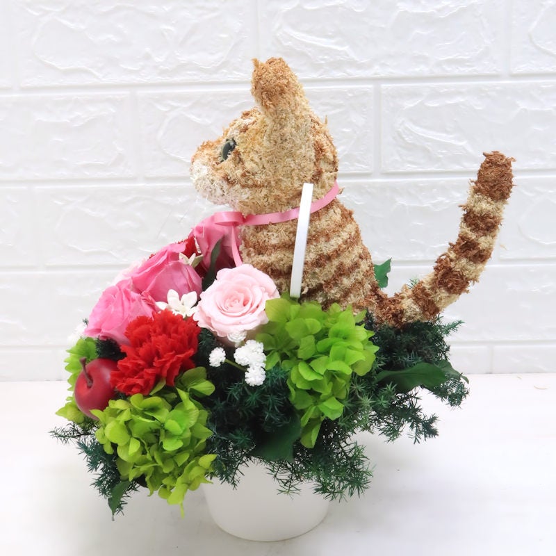 茶トラ猫 母の日