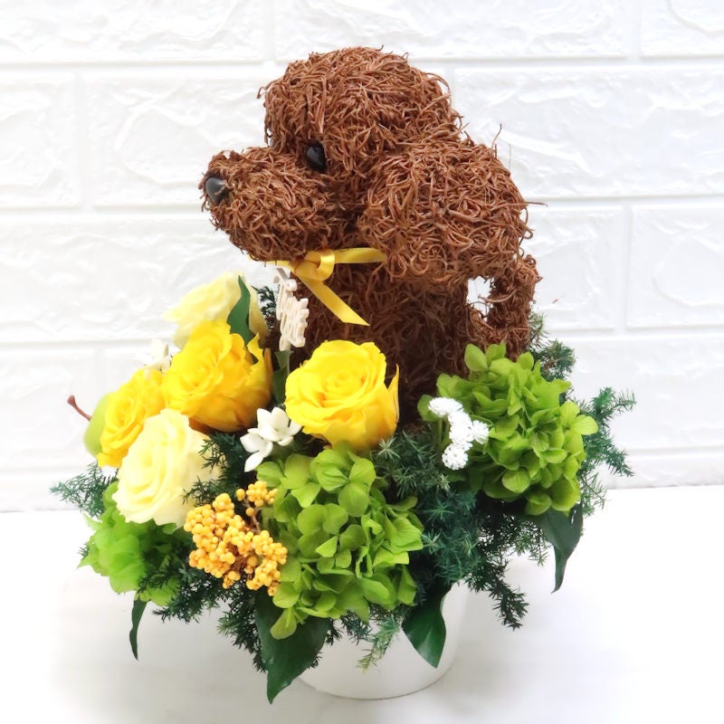 アニマルフラワー