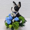 プリザーブドフラワー犬