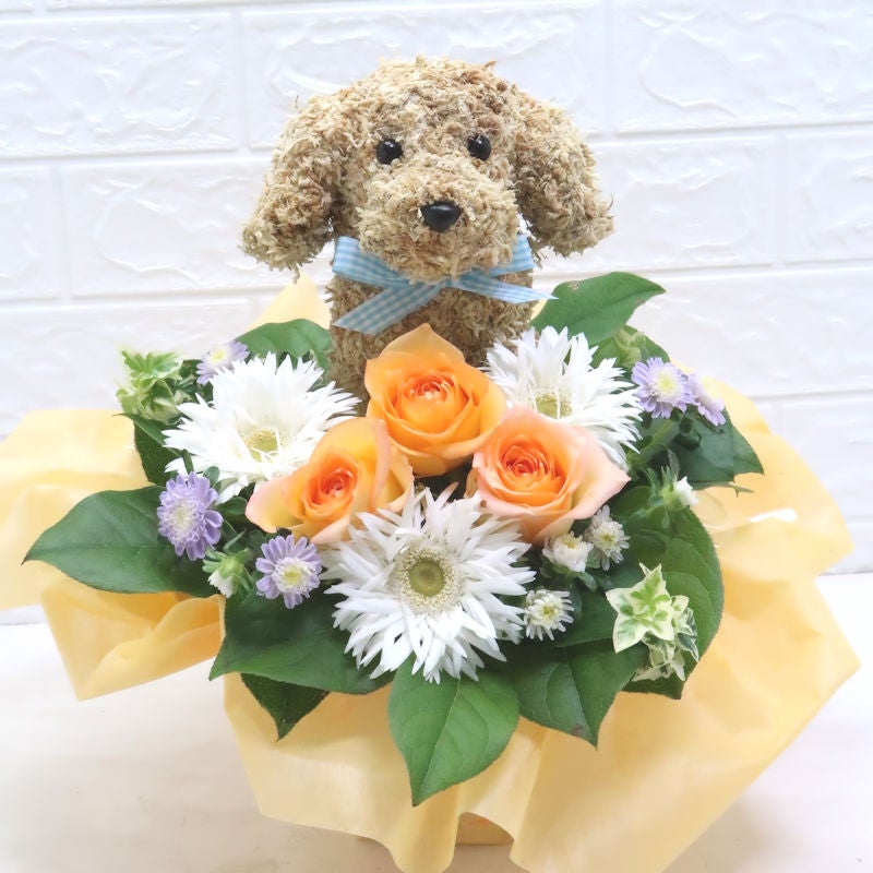 犬花
