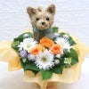 猫のお悔やみ お供え花
