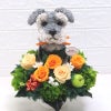 シュナウザー好き誕生日プレゼント