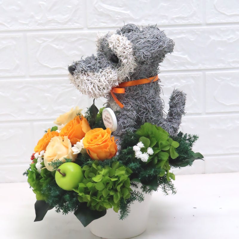 犬花