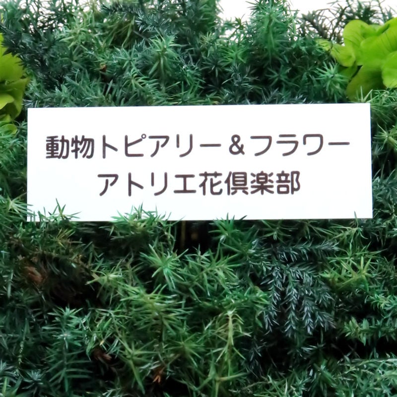 お名前プレート