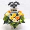 犬花