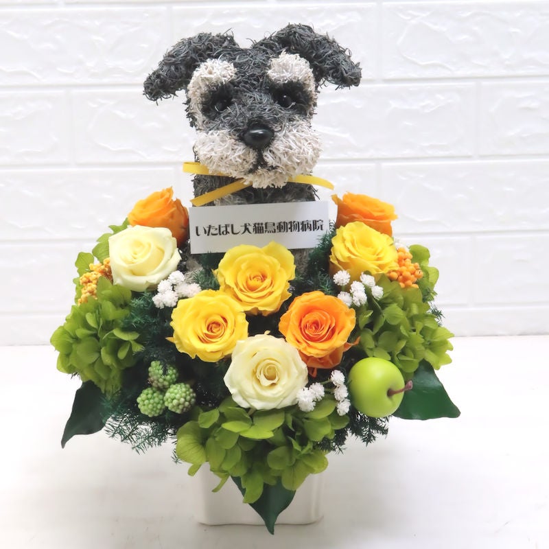 犬花