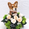 柴犬　花
