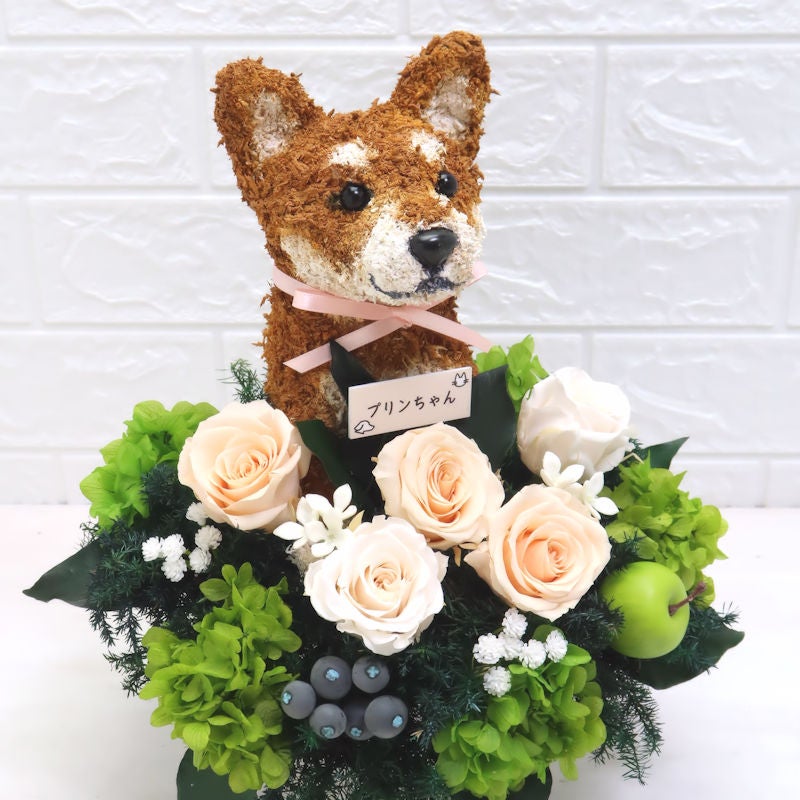 柴犬　花