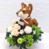 犬花
