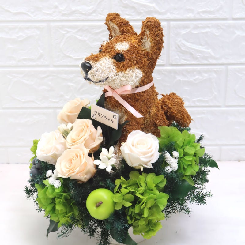 犬花