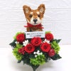 開店祝い 犬