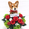 アニマルフラワー 柴犬
