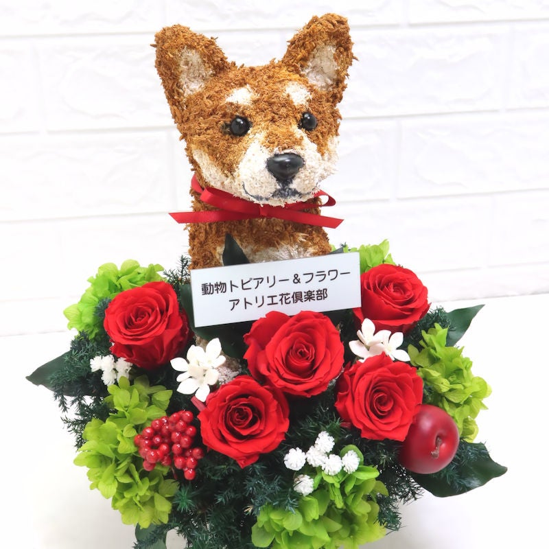 アニマルフラワー 柴犬