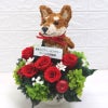 柴犬グッズ